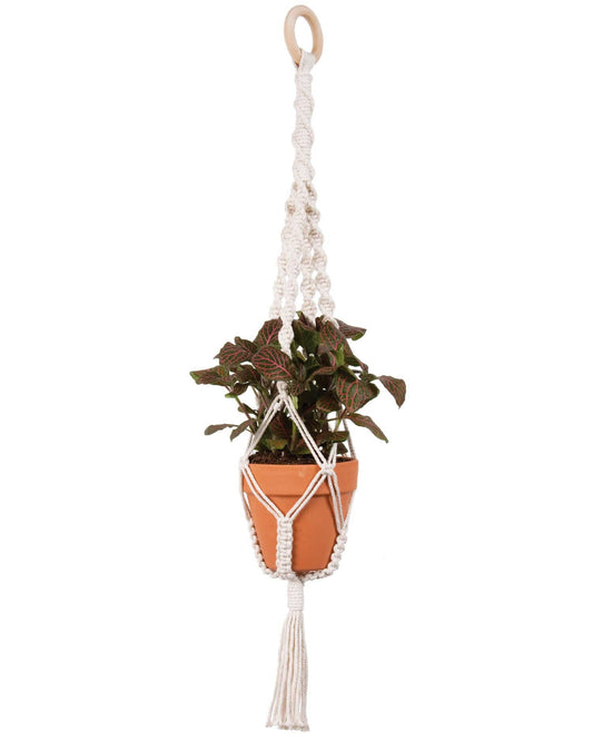 Make-ramé™ Plant Hanger Kit - Twists