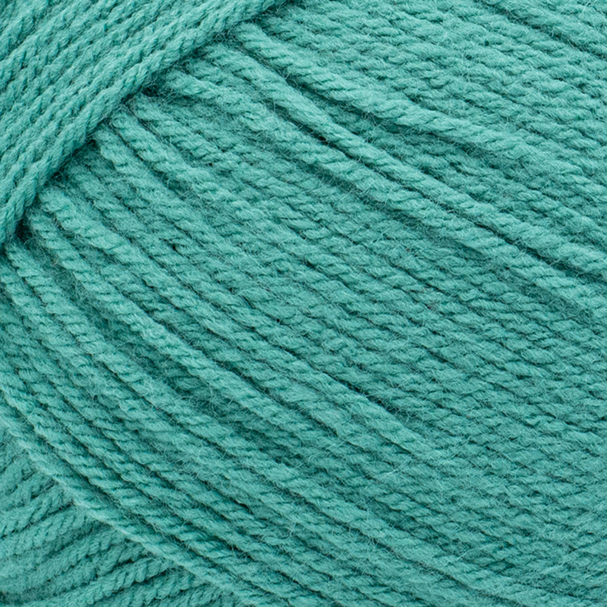 Lion Brand Yarn Pound of Love